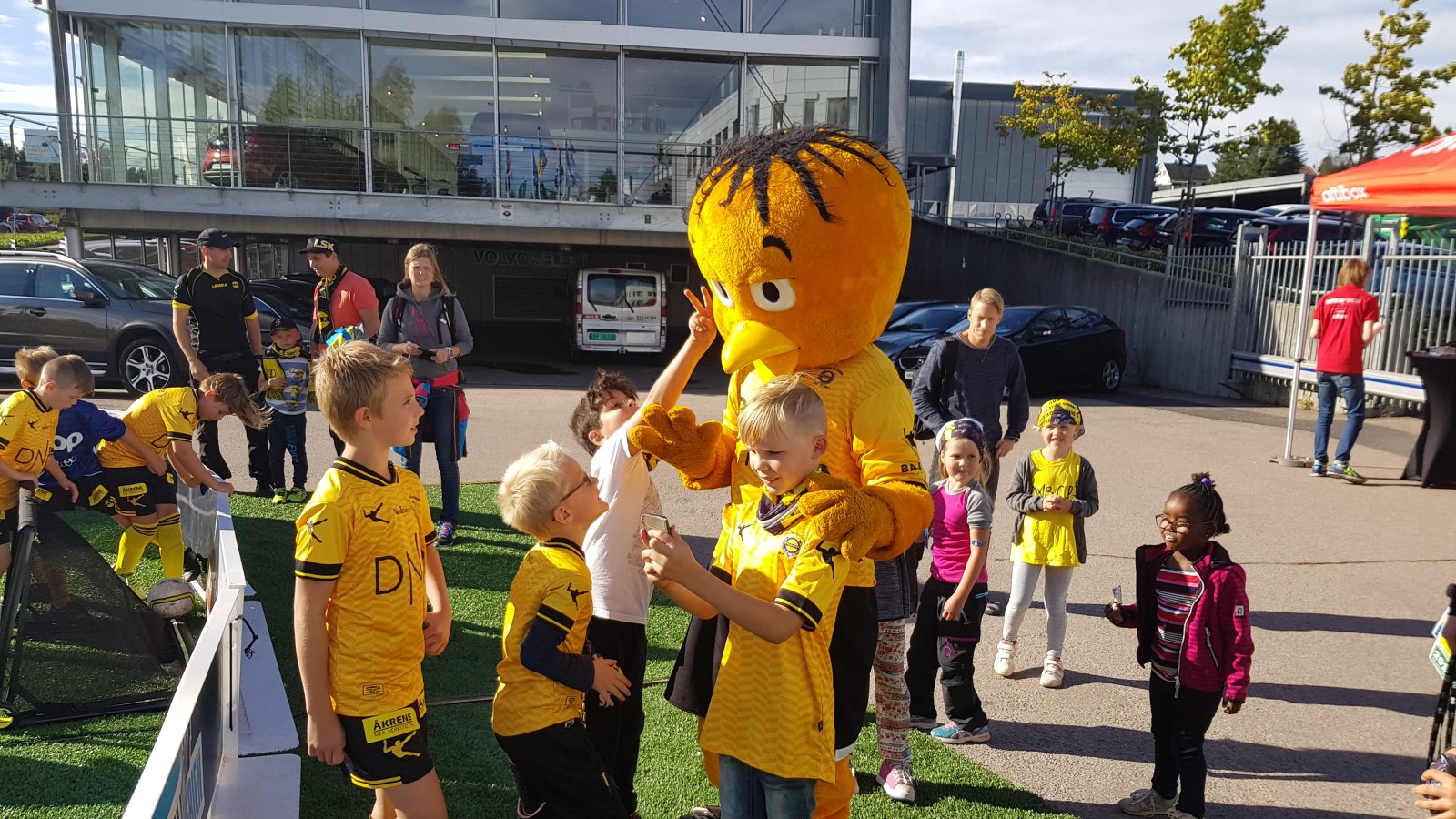 Gullik i Fanzone