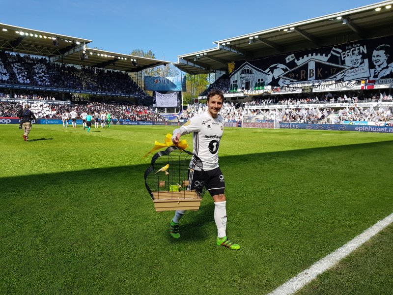 Rosenborg fikk en kanarifugl i gave på Lerkendal